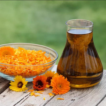 Calendula